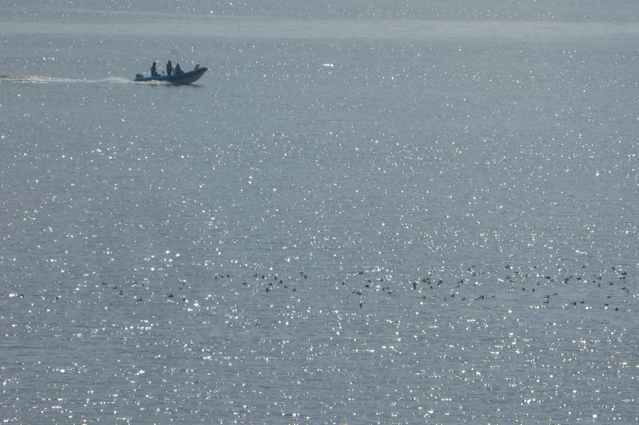 d0288144_00064080.jpg