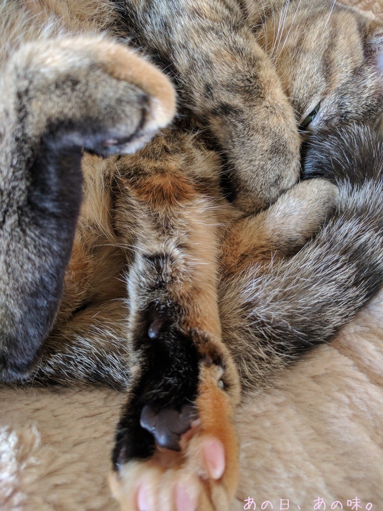a0305046_10095425.jpg