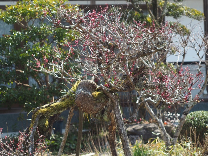 f0169147_20390162.jpg