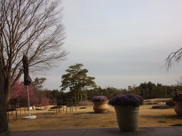 b0009849_21451936.jpg