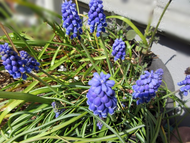 b0009849_947367.jpg
