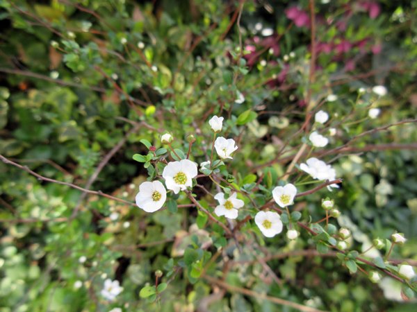 b0009849_9512517.jpg