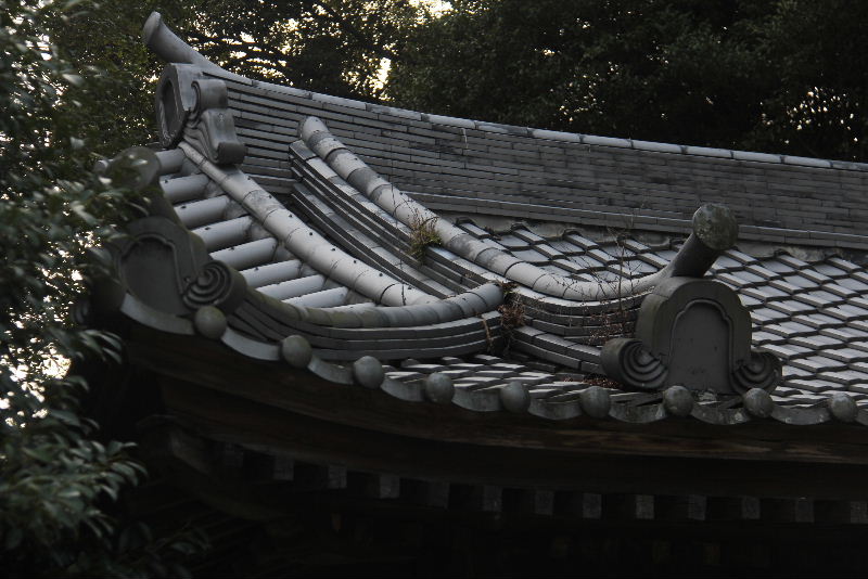 c0011649_1081377.jpg