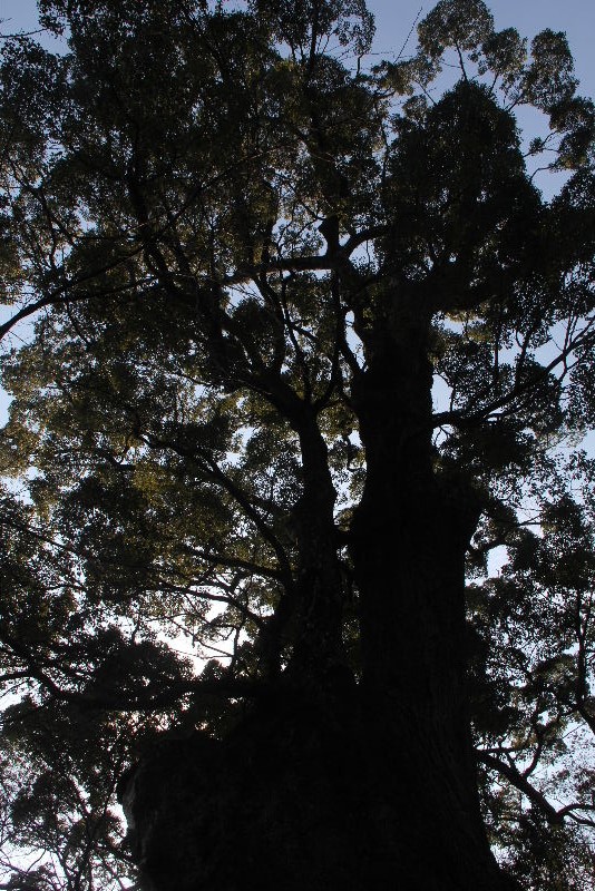 c0011649_1331216.jpg