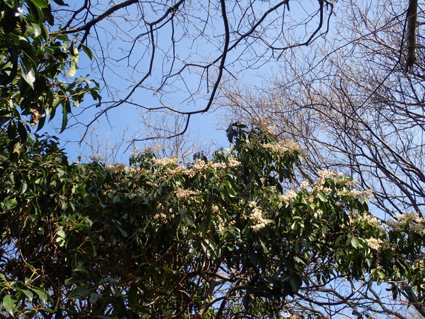 f0214649_02580902.jpg