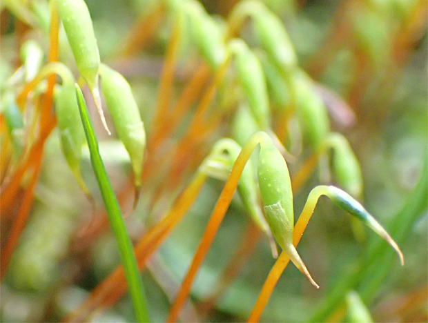 f0214649_03034976.jpg