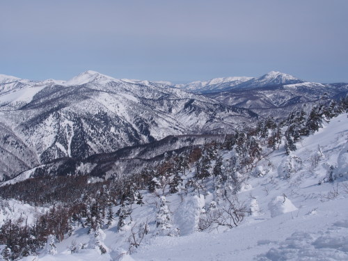 b0335256_15032757.jpg