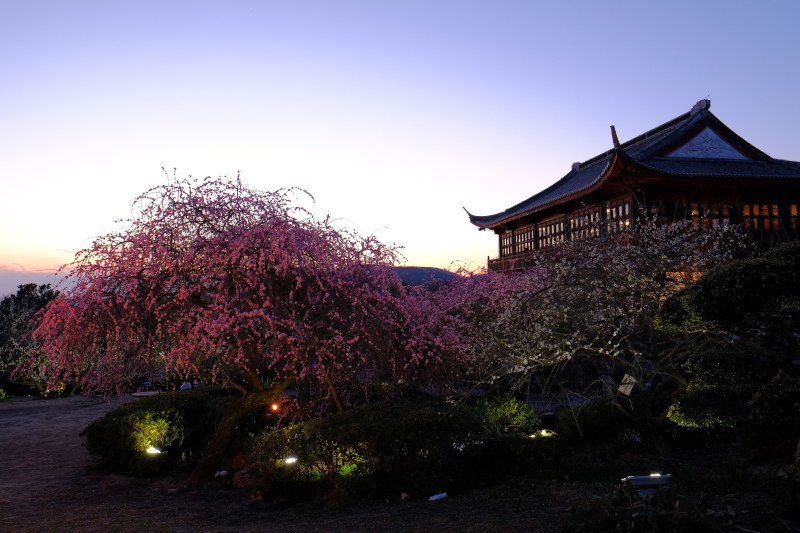 b0277257_17161575.jpg