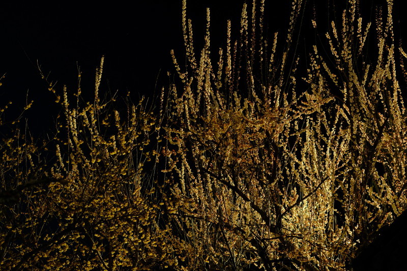 b0277257_17204142.jpg