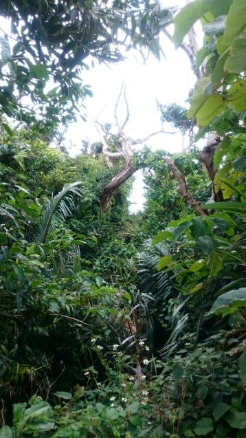 d0337560_13132245.jpg