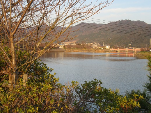 f0113862_22201567.jpg