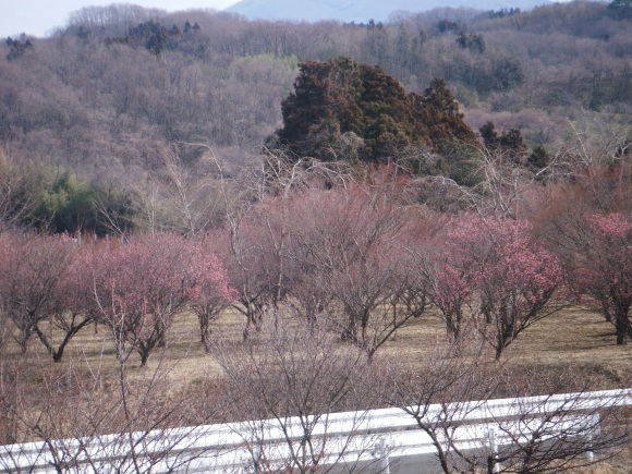 c0325468_19222001.jpg
