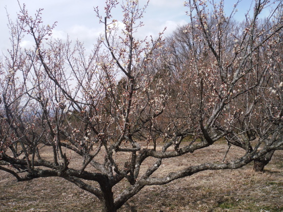 c0325468_19225551.jpg