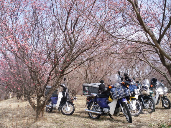 c0325468_19233289.jpg