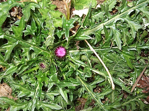 e0086885_14482978.jpg