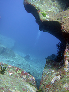 f0144385_20522734.jpg