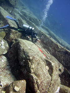 f0144385_21091736.jpg