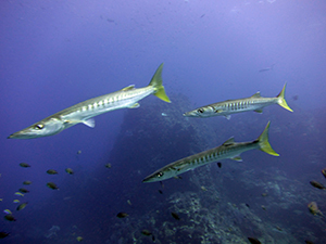 f0144385_21091794.jpg