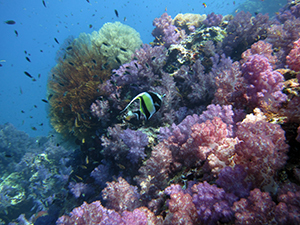 f0144385_21091825.jpg