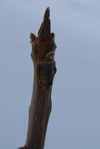 a0133886_16270760.jpg