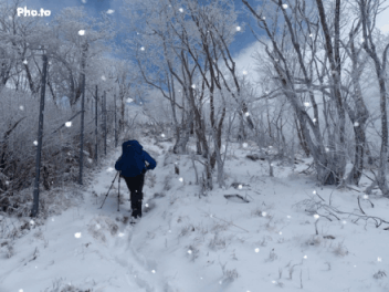 f0357487_21555022.gif