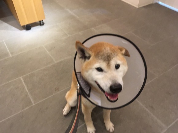 c0123890_21182179.jpeg