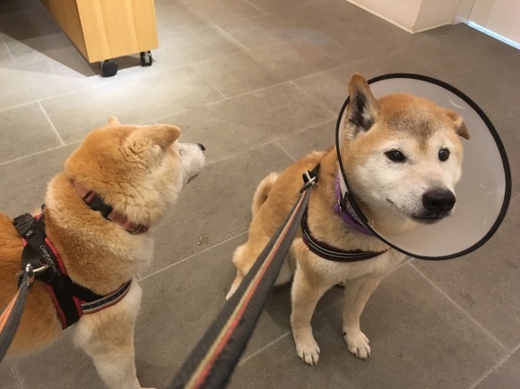 c0123890_21183829.jpeg