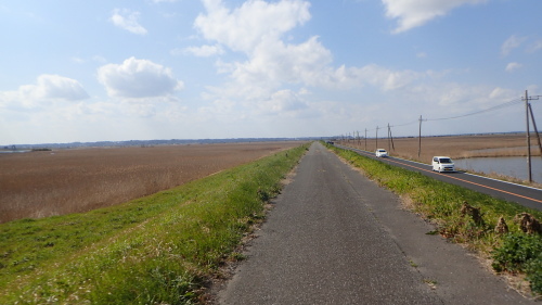 a0338094_00244915.jpg