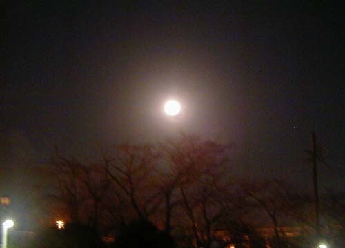 d0053294_02011090.jpg