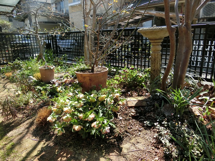 e0234004_21215238.jpg