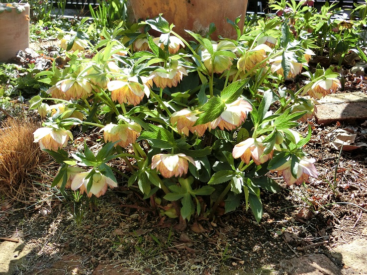 e0234004_21215975.jpg