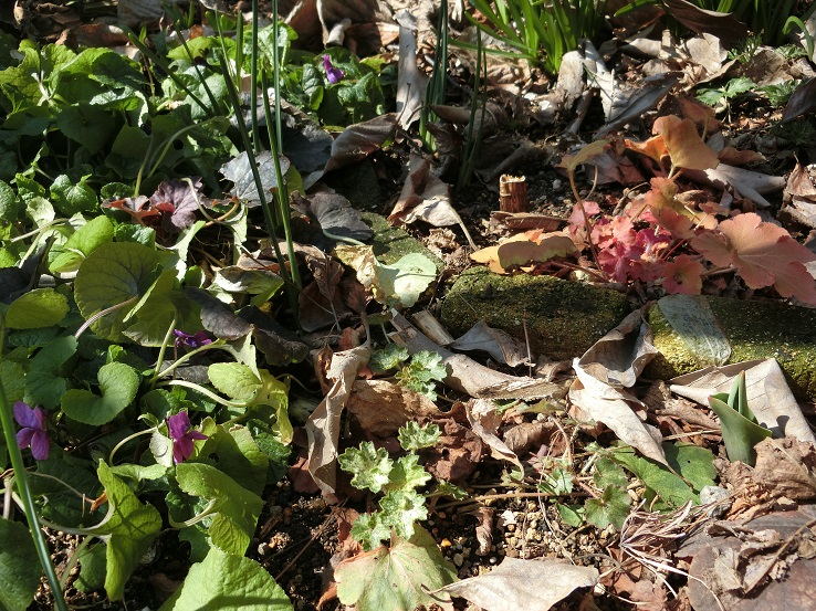 e0234004_2123836.jpg