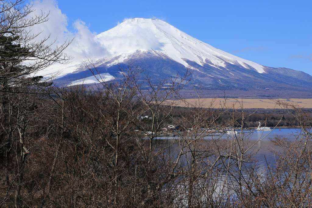 a0188405_17332721.jpg