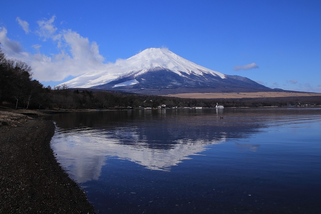 a0188405_17333290.jpg