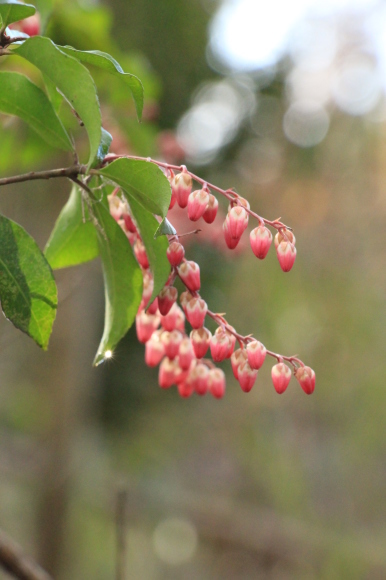 a0139007_13491088.jpg