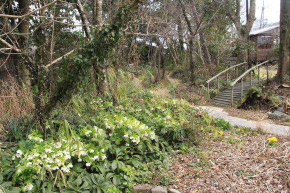 a0139007_14040227.jpg