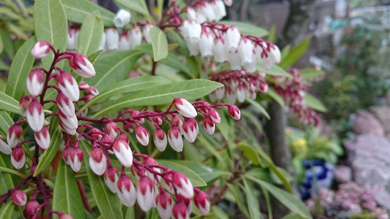 e0350415_23090693.jpg