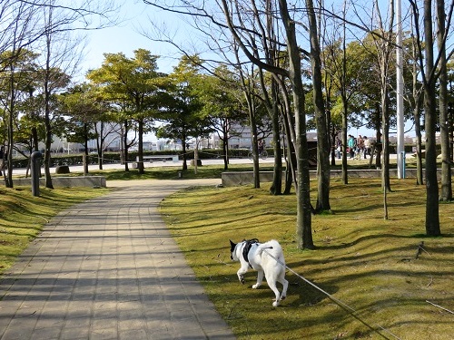 c0084117_20564359.jpg
