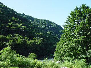c0346119_15191846.jpg