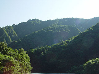 c0346119_15191883.jpg