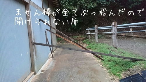 b0187620_18571217.jpg