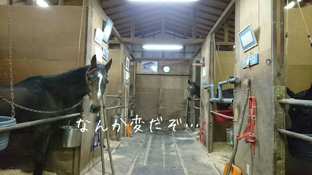 b0187620_18585887.jpg