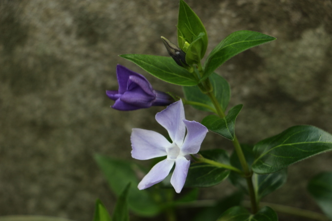 b0258821_16454050.jpg