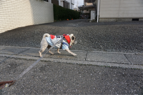 f0128821_21582379.jpg