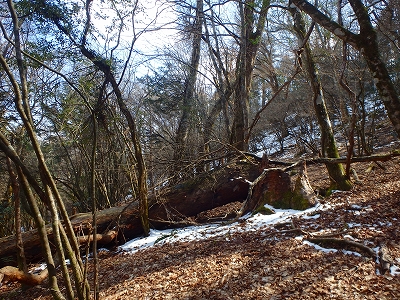 f0193521_429621.jpg