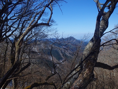 f0193521_442290.jpg