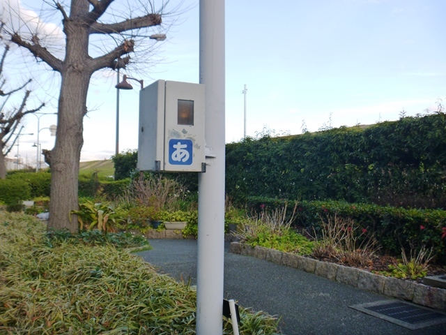 d0137326_23261879.jpg