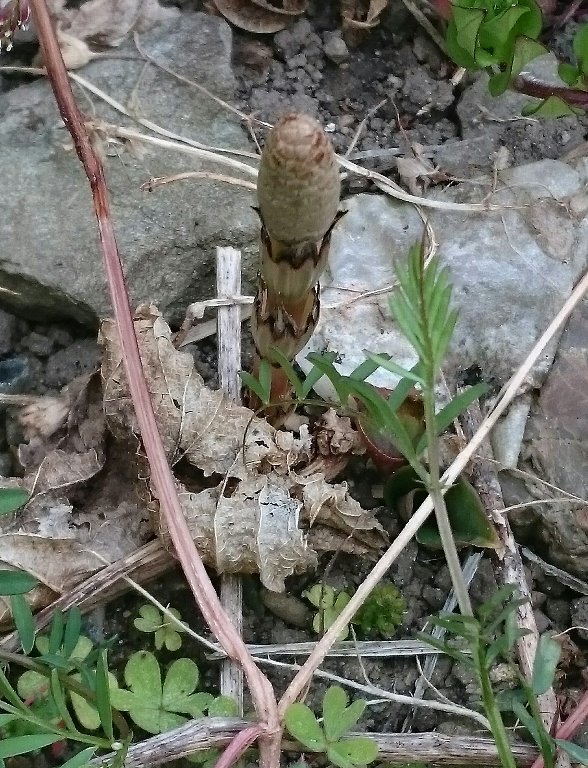c0355331_12491153.jpg