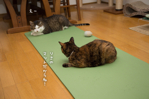 d0355333_17304840.jpg