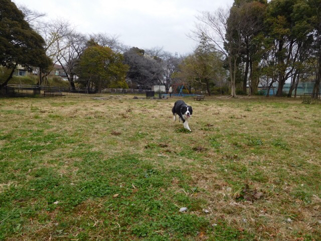 c0343734_17243362.jpg